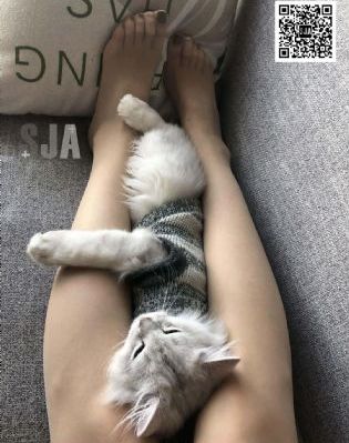 向着炮火前进 电视剧